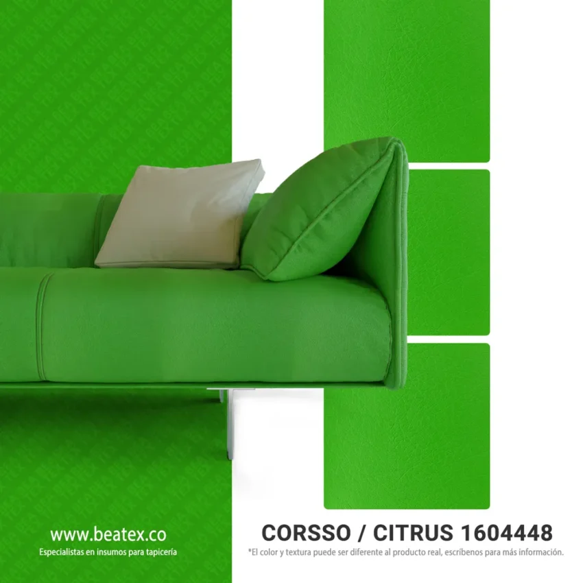 Citrus 1604448 3D