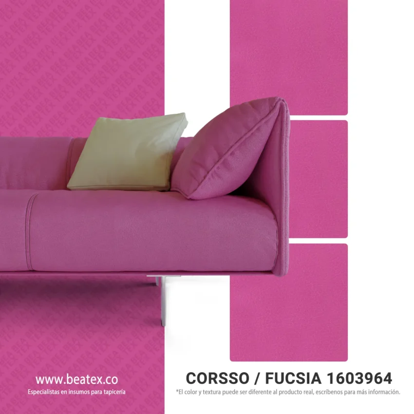 Fucsia 1603964 3D