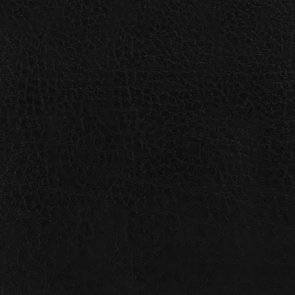 Negro 1604349
